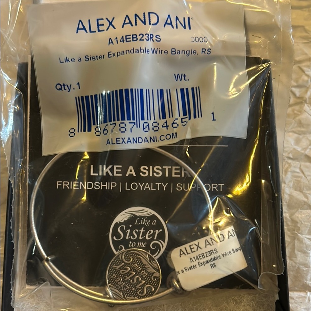 Alex and Ani Silver Expandable Bangle